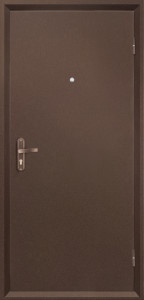 Дверь Профи внешняя панель